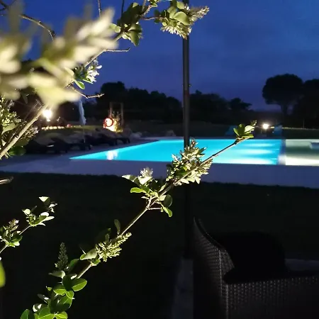 Pérola D'óbidos T2