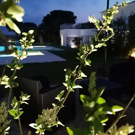 Perola D'obidos T2 אובידוס